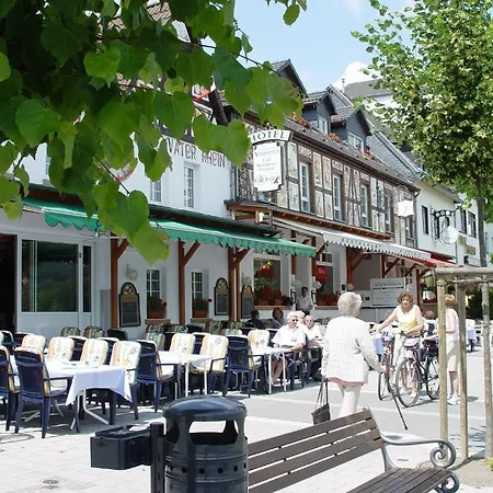 Отель Vater Rhein Бад-Брайзиг