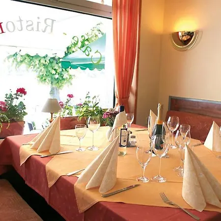 Vater Rhein Hotel 3*