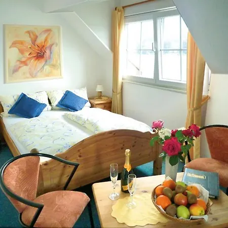 Vater Rhein Отель