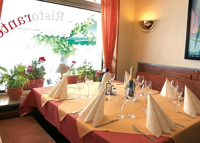 Vater Rhein Hotel 3*