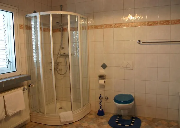 Vater Rhein Hotel 3*