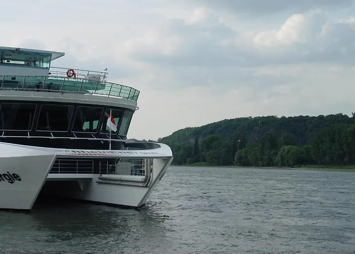 Vater Rhein Hotel 3*